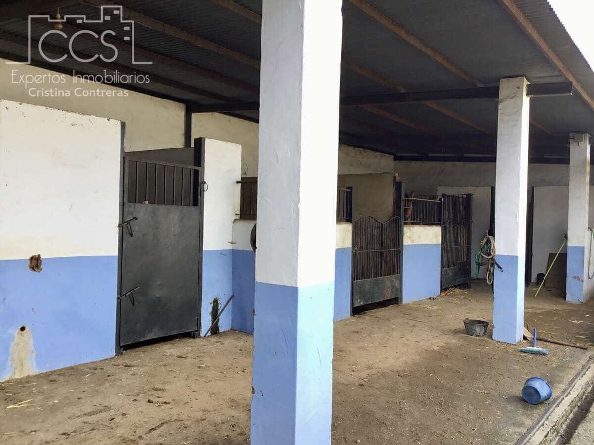 1 bedroom Finca/Country House for sale in Almonte - € 490,000 (Ref: 9200914)