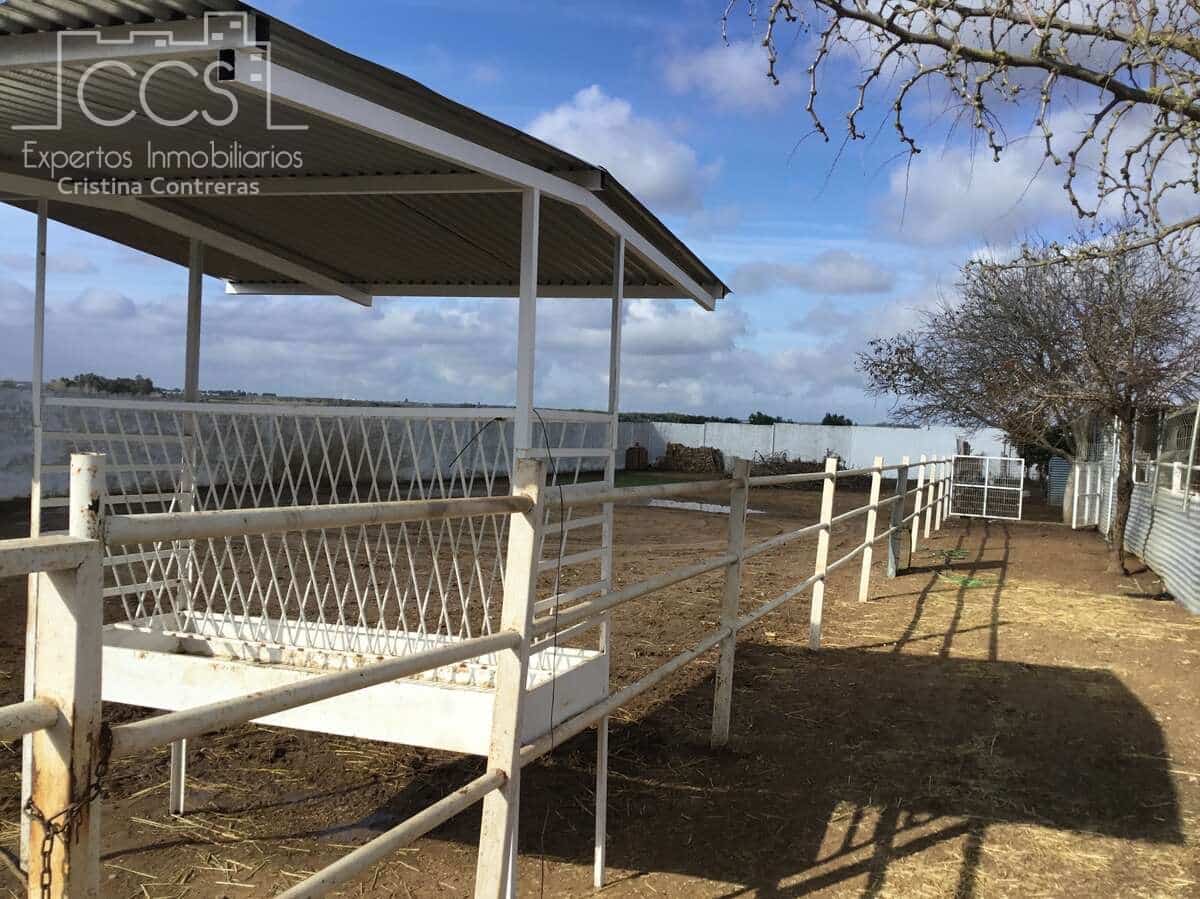 1 bedroom Finca/Country House for sale in Almonte - € 490,000 (Ref: 9200914)