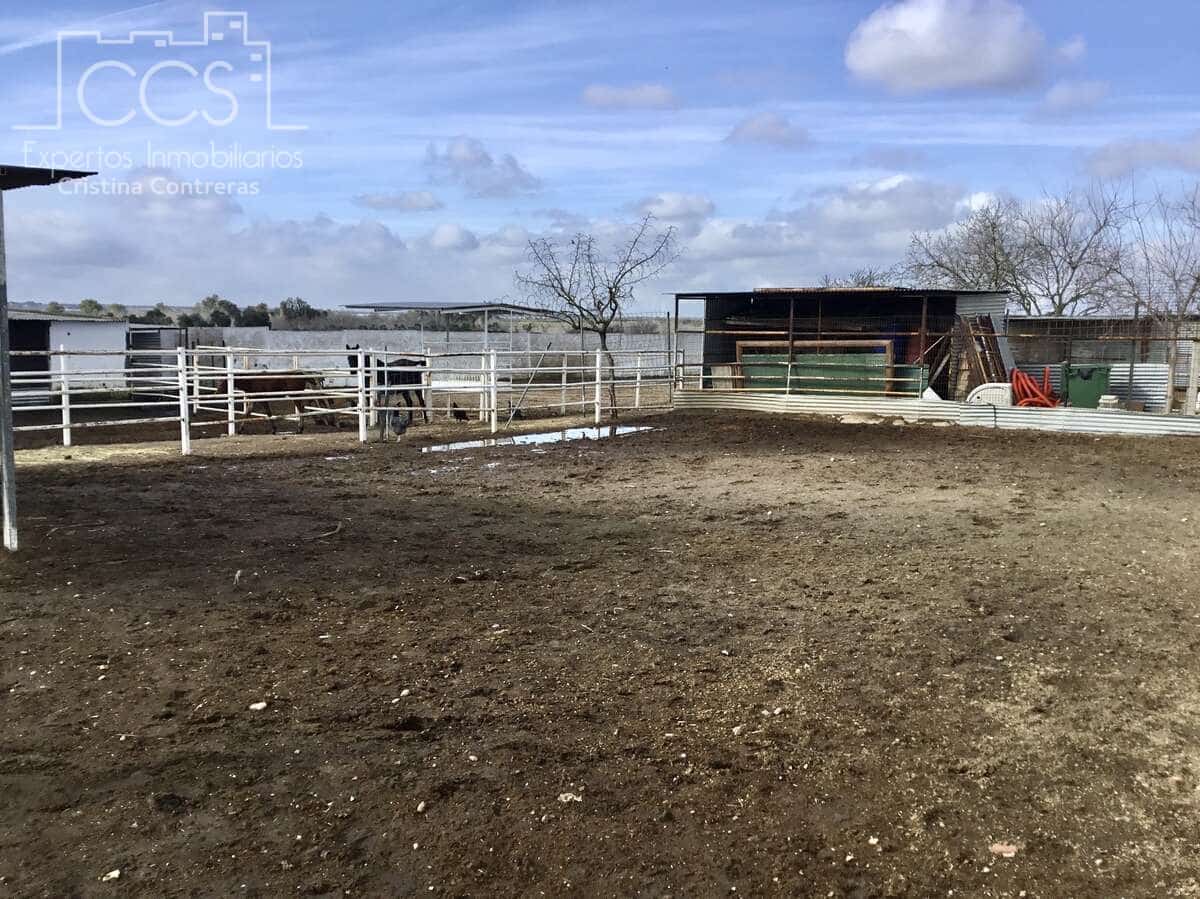 1 bedroom Finca/Country House for sale in Almonte - € 490,000 (Ref: 9200914)