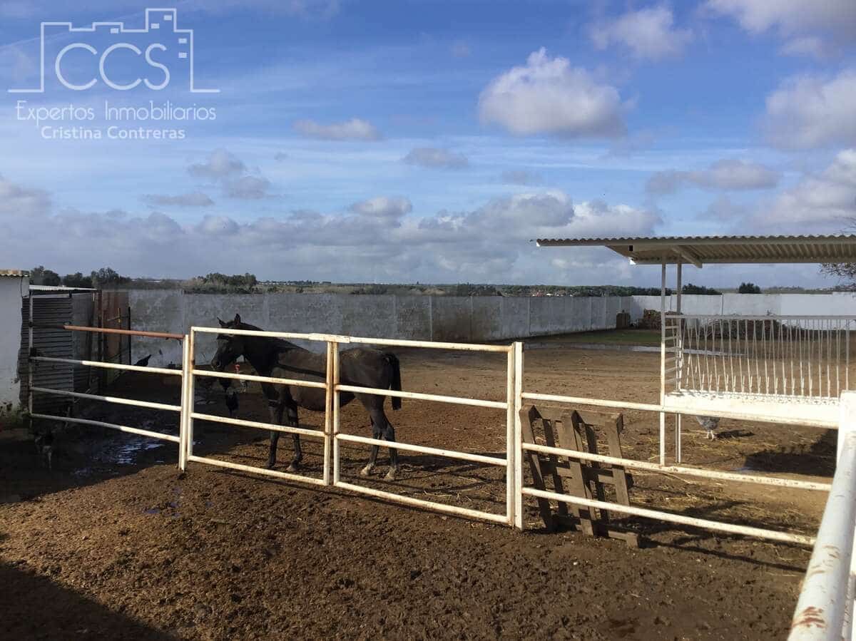 1 bedroom Finca/Country House for sale in Almonte - € 490,000 (Ref: 9200914)