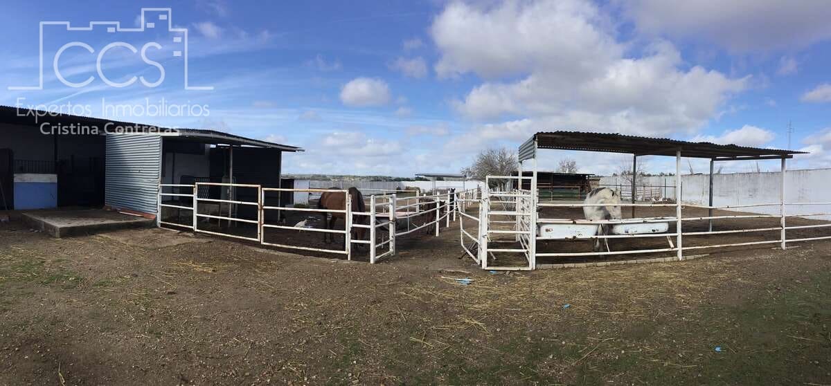 1 bedroom Finca/Country House for sale in Almonte - € 490,000 (Ref: 9200914)