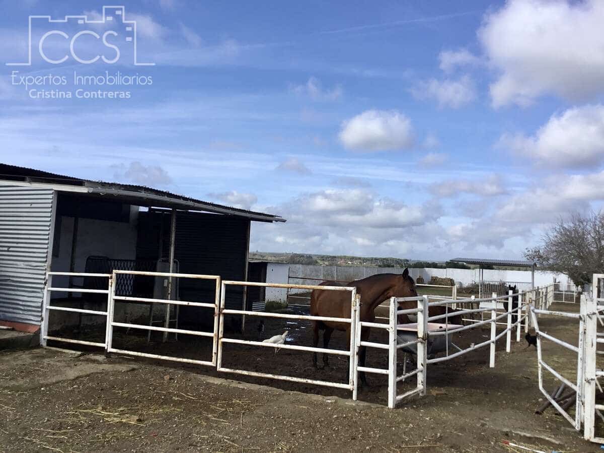 1 bedroom Finca/Country House for sale in Almonte - € 490,000 (Ref: 9200914)