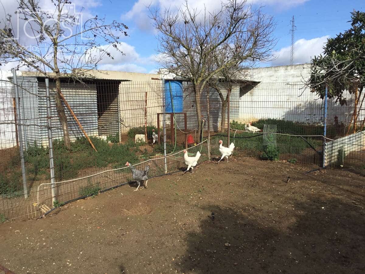 1 bedroom Finca/Country House for sale in Almonte - € 490,000 (Ref: 9200914)