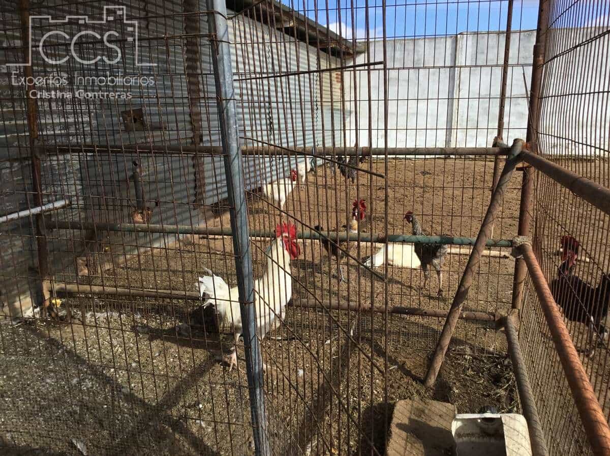 1 bedroom Finca/Country House for sale in Almonte - € 490,000 (Ref: 9200914)