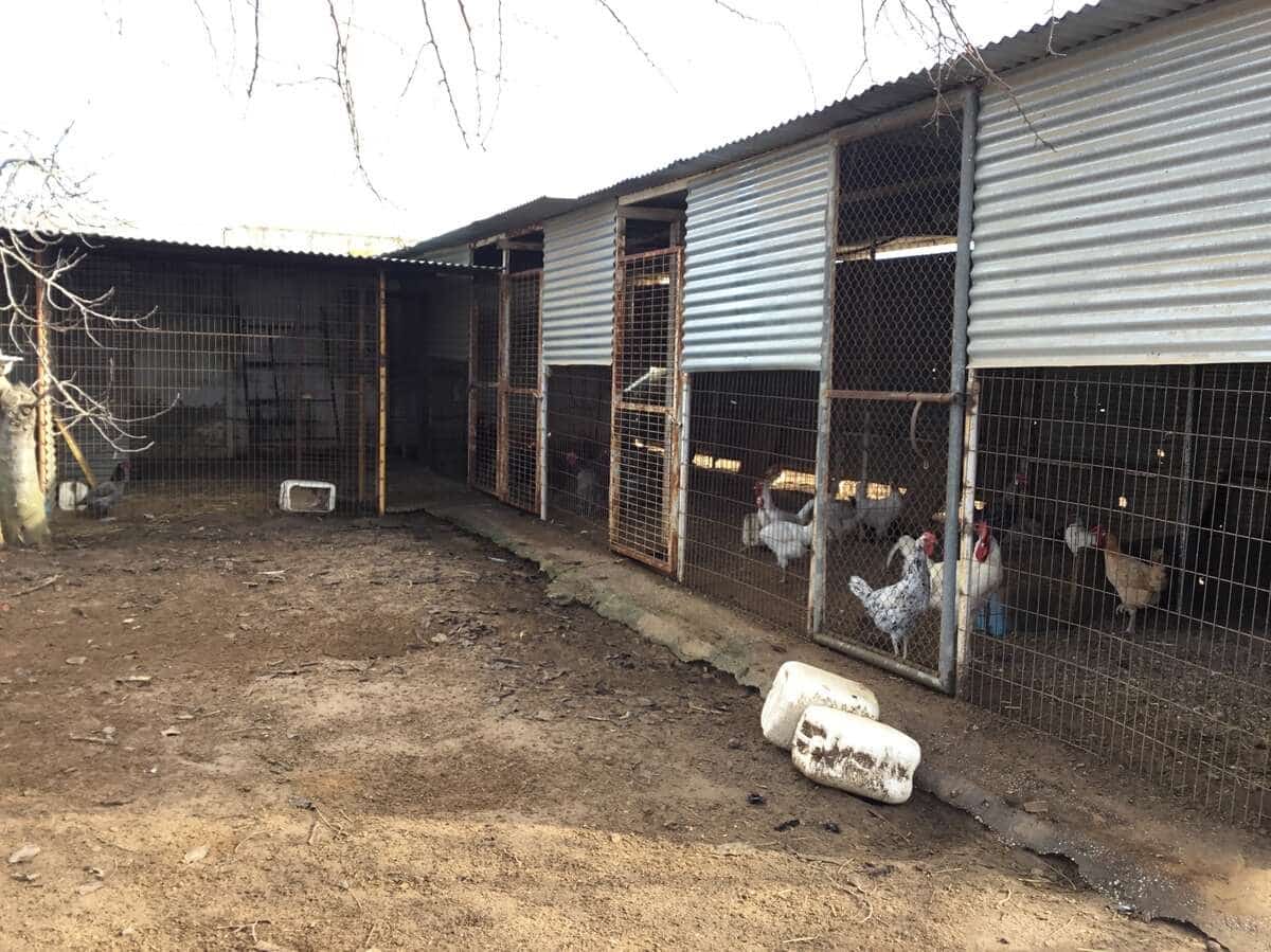 1 bedroom Finca/Country House for sale in Almonte - € 490,000 (Ref: 9200914)