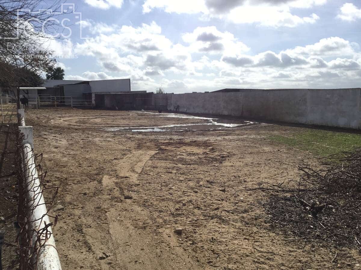 1 bedroom Finca/Country House for sale in Almonte - € 490,000 (Ref: 9200914)