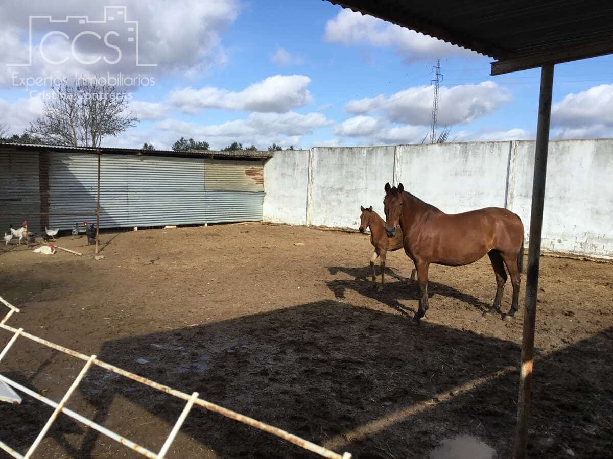 1 soverom Finca/Herregård til salgs i Almonte - € 490 000 (Ref: 9200914)