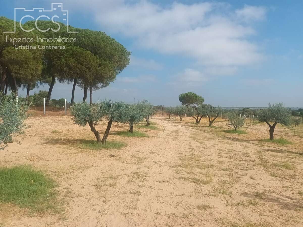 Finca/Herregård til salgs i Almonte - € 106 000 (Ref: 9219621)