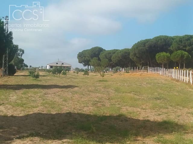 Finca/Herregård til salgs i Almonte - € 106 000 (Ref: 9219621)