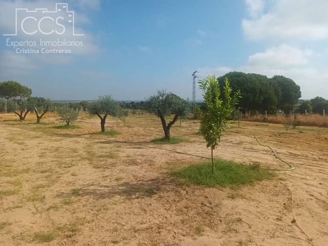 Finca/Herregård til salgs i Almonte - € 106 000 (Ref: 9219621)