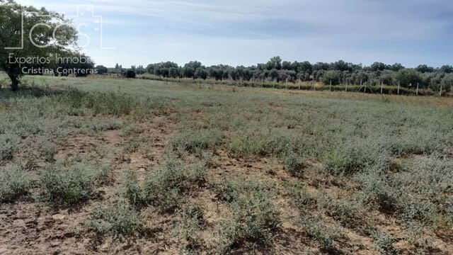 Finca/Casa di Campagna da affittare in Almonte - 1.200 € (Rif: 9262111)