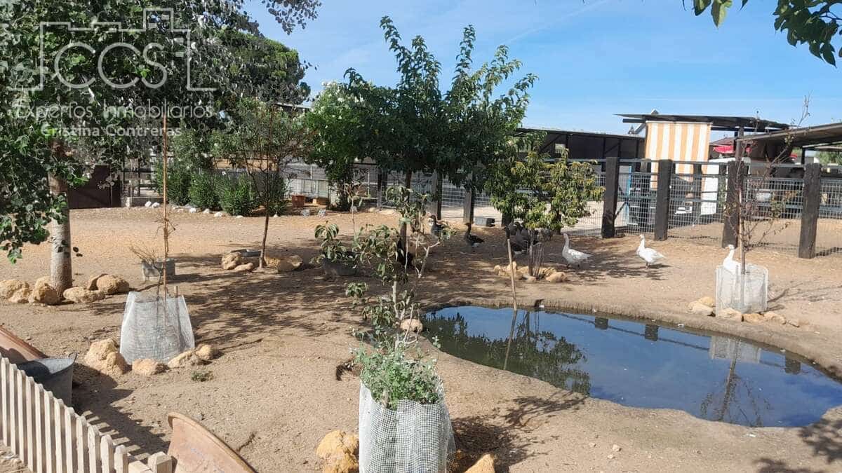 Maalaistalo vuokrattavana paikassa Almonte - 1 200 € (Ref: 9262111)