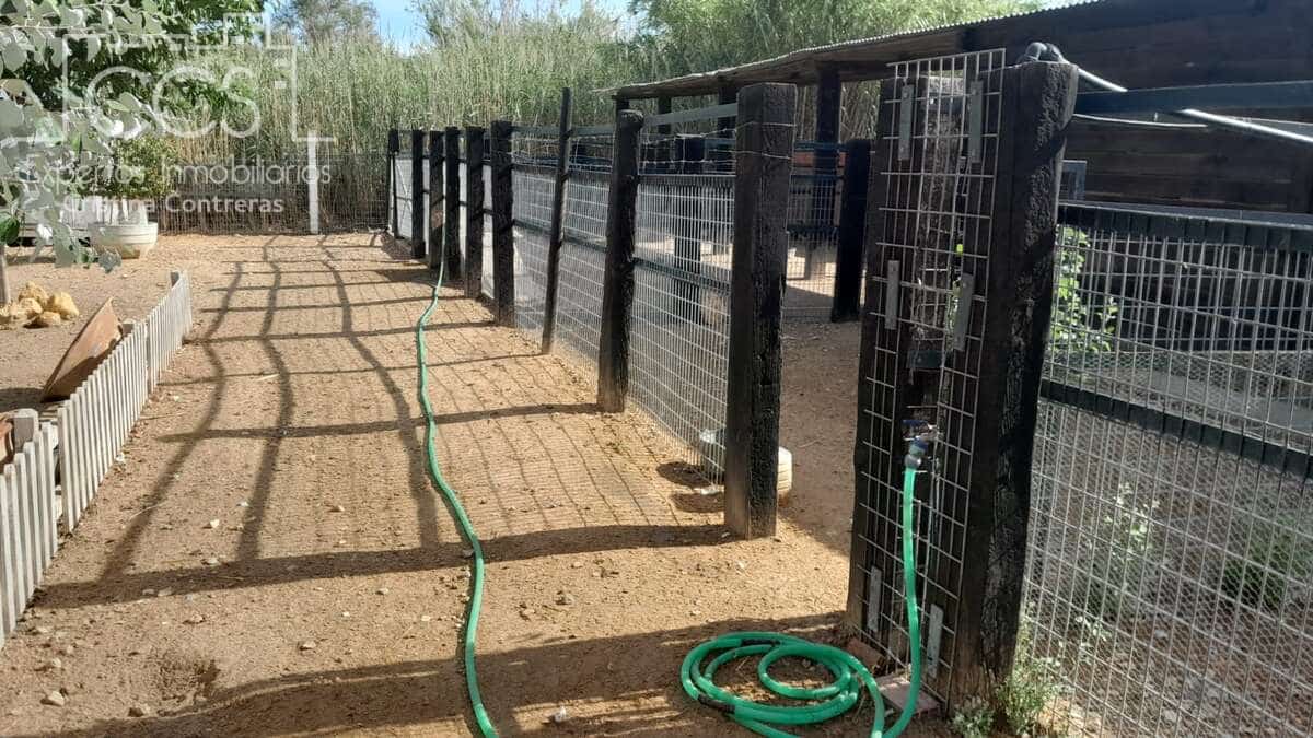 Maalaistalo vuokrattavana paikassa Almonte - 1 200 € (Ref: 9262111)