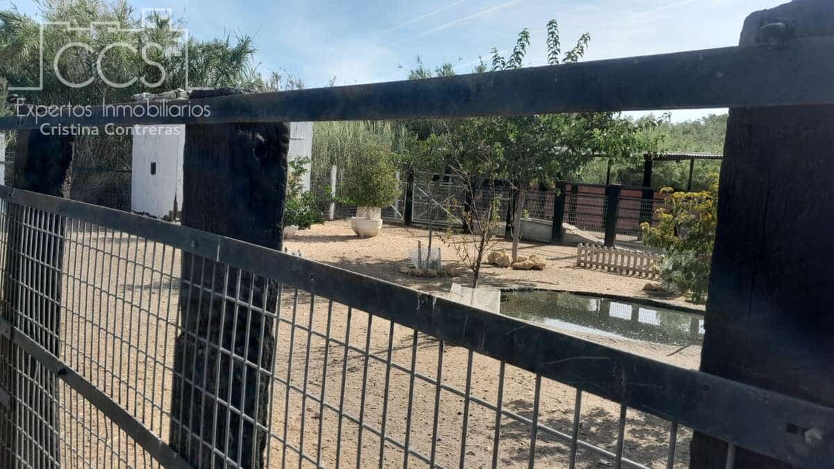 Maalaistalo vuokrattavana paikassa Almonte - 1 200 € (Ref: 9262111)