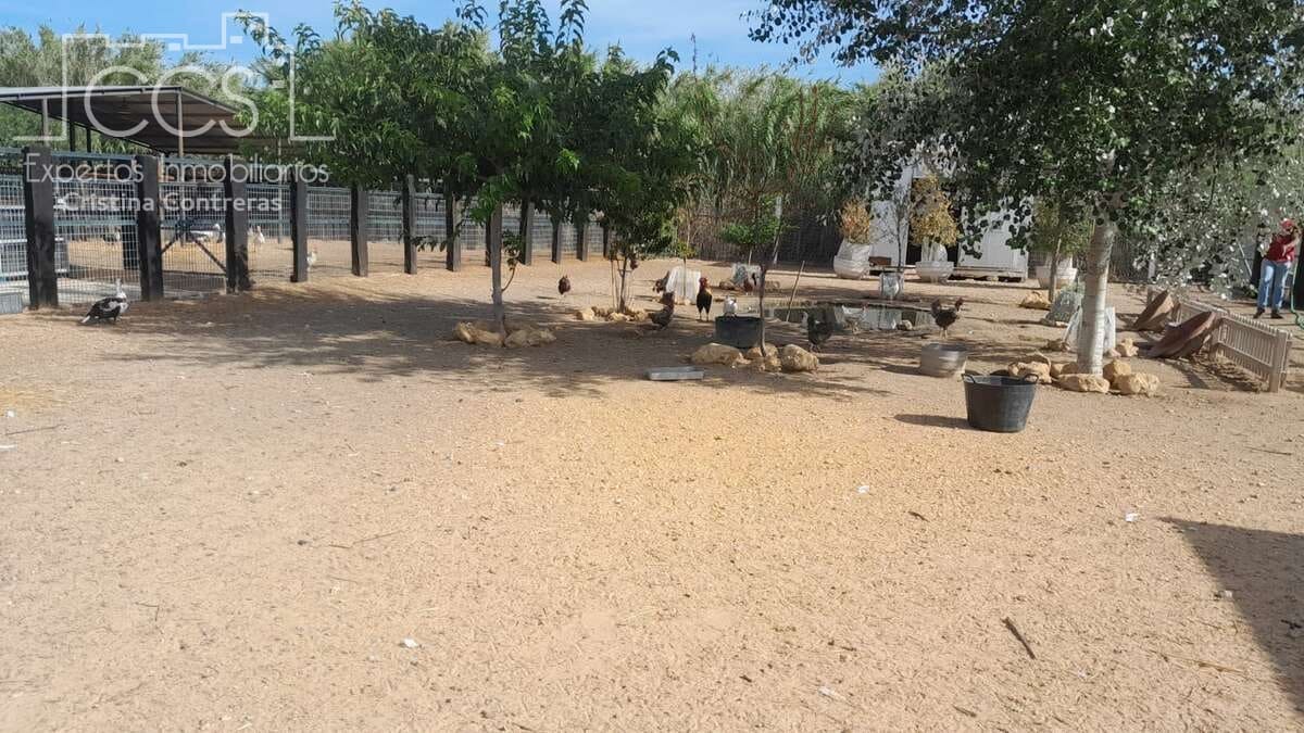 Maalaistalo vuokrattavana paikassa Almonte - 1 200 € (Ref: 9262111)