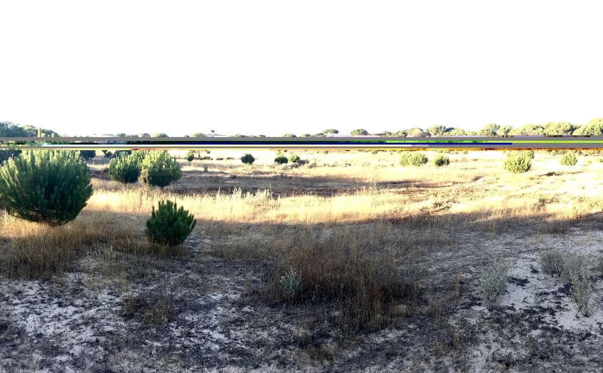 Building Plot for sale in Almonte - € 73,000 (Ref: 9263932)