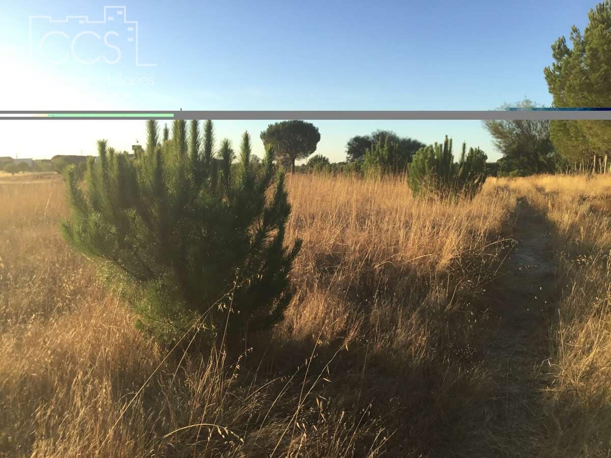 Building Plot for sale in Almonte - € 73,000 (Ref: 9263932)