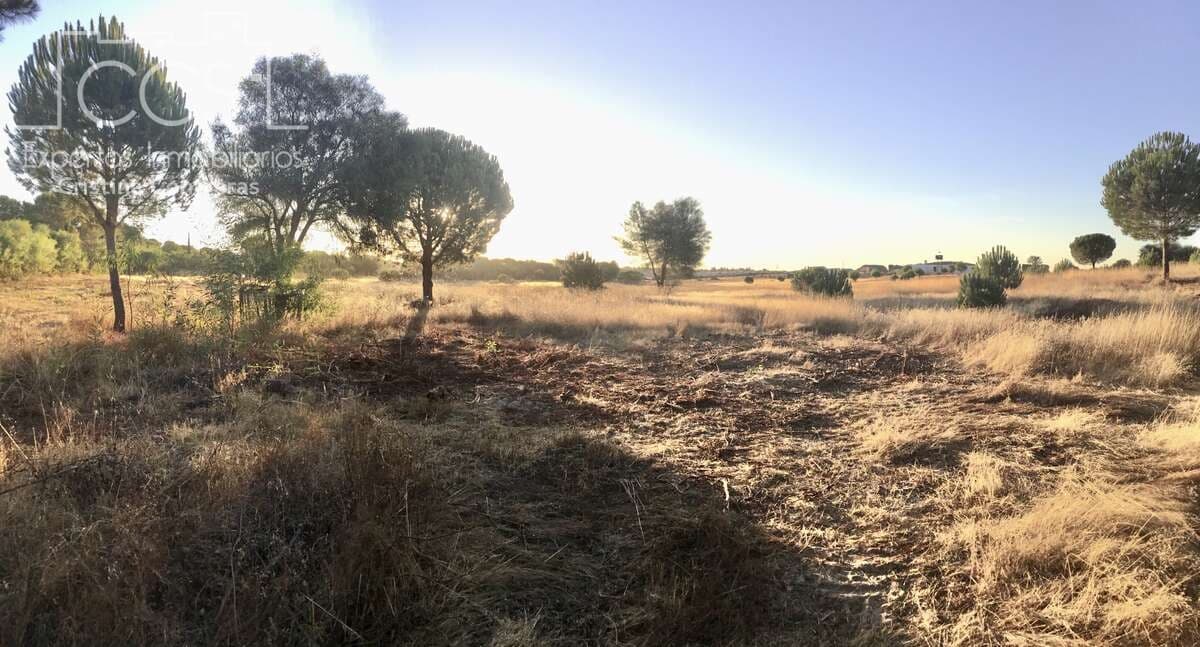 Building Plot for sale in Almonte - € 73,000 (Ref: 9263932)