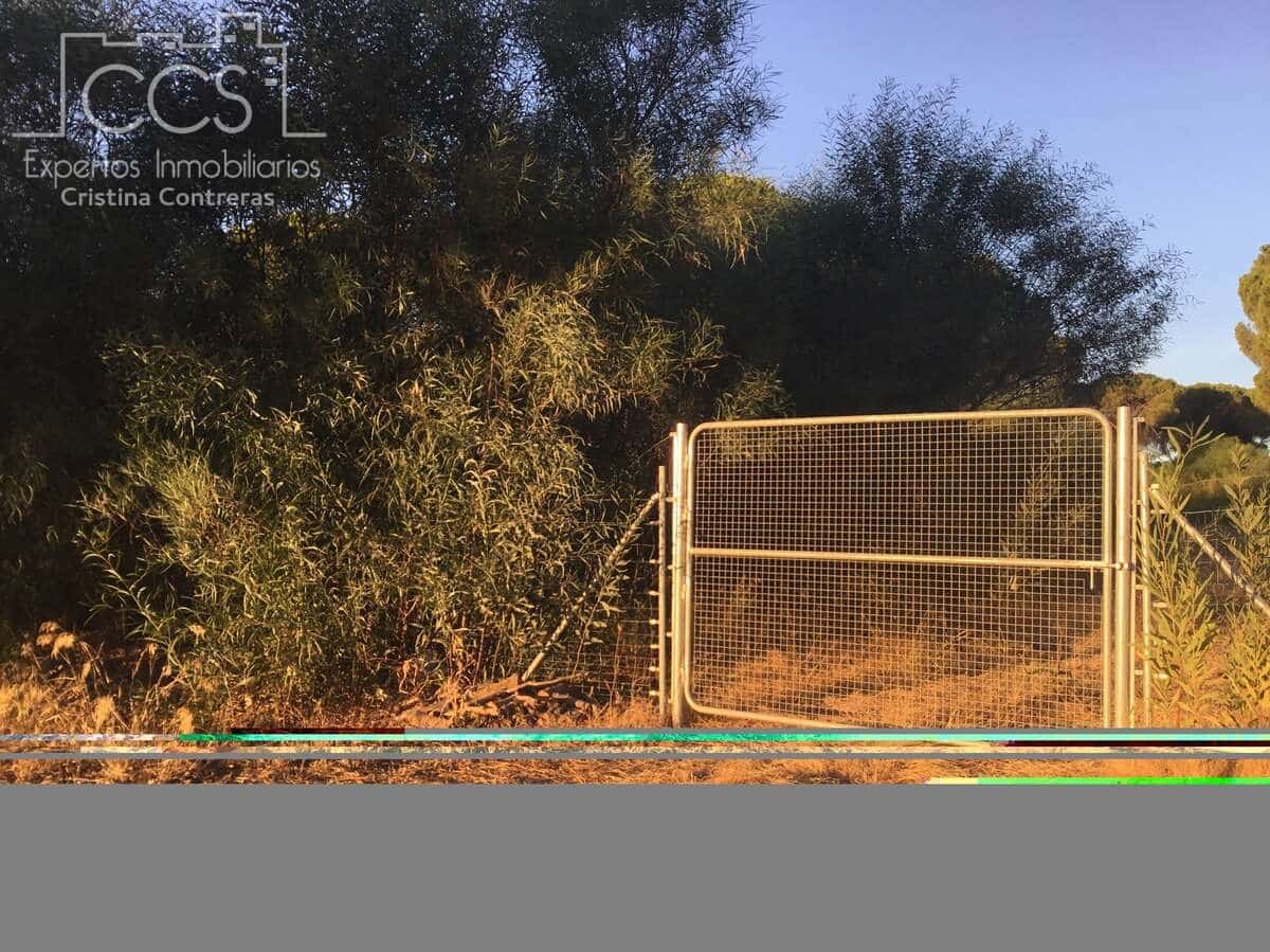 Building Plot for sale in Almonte - € 73,000 (Ref: 9263932)