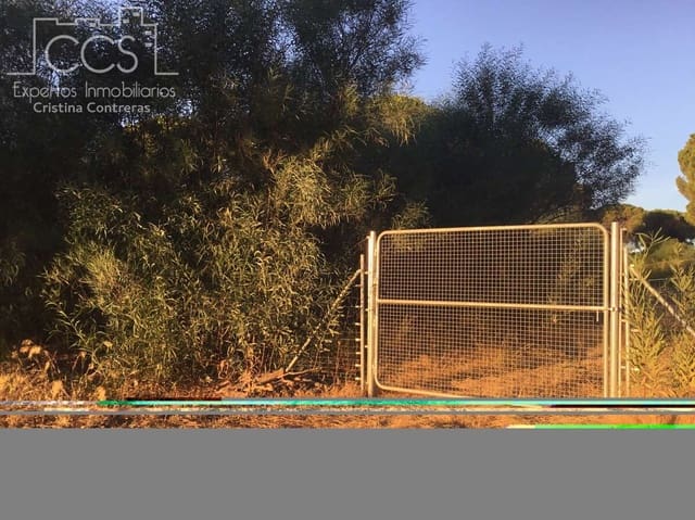 Building Plot for sale in Almonte - € 73,000 (Ref: 9263932)