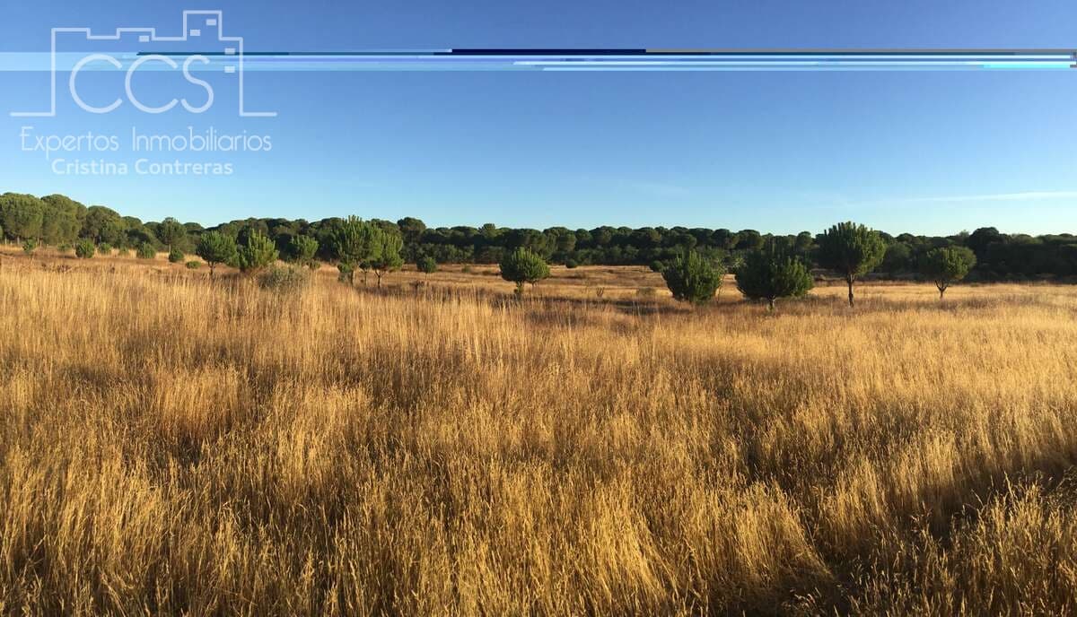 Building Plot for sale in Almonte - € 73,000 (Ref: 9263932)