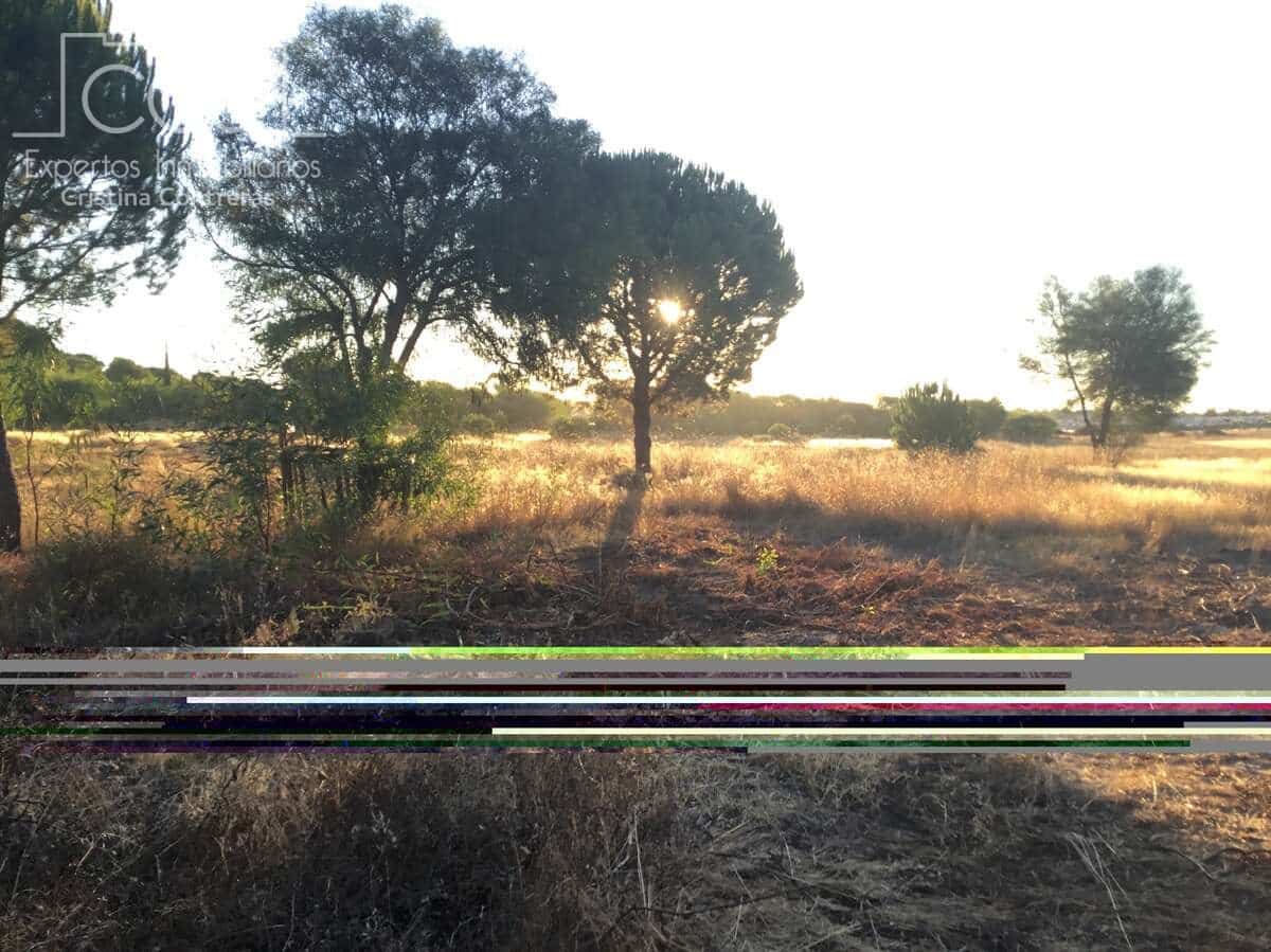 Building Plot for sale in Almonte - € 73,000 (Ref: 9263932)