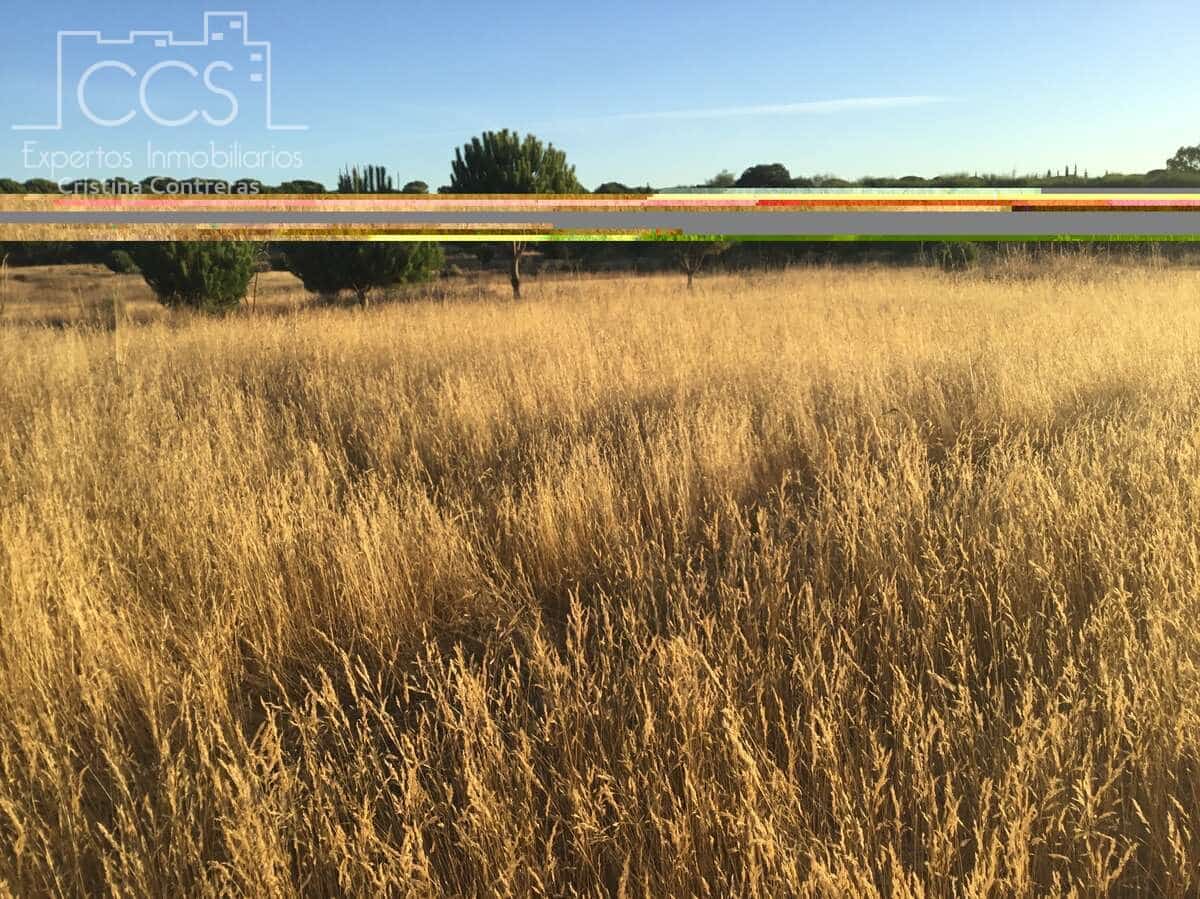 Building Plot for sale in Almonte - € 73,000 (Ref: 9263932)