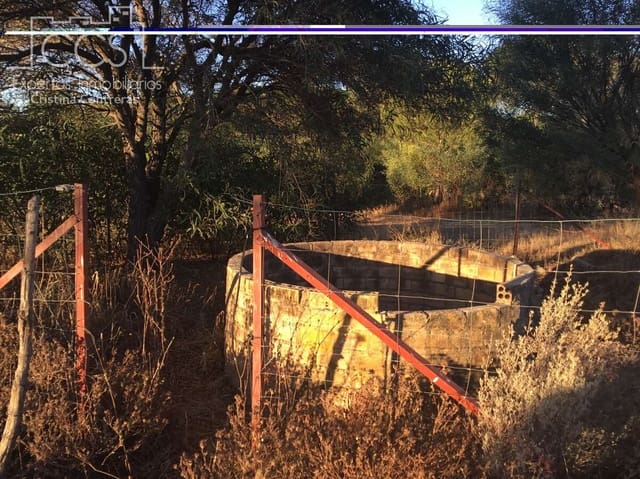 Building Plot for sale in Almonte - € 73,000 (Ref: 9263932)