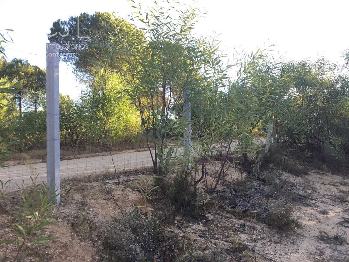 Building Plot for sale in Almonte - € 73,000 (Ref: 9263932)