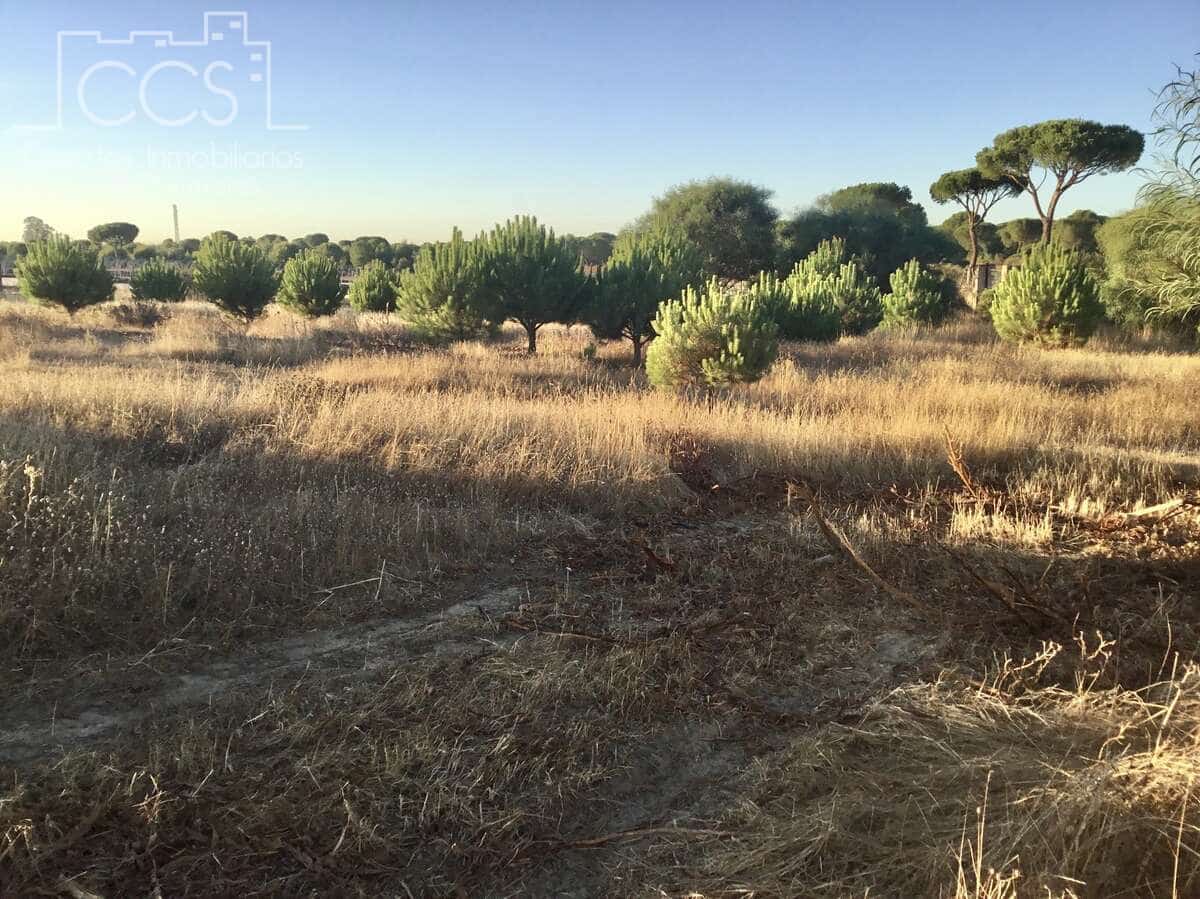 Bouwgrond te koop in Almonte - € 73.000 (Ref: 9263932)