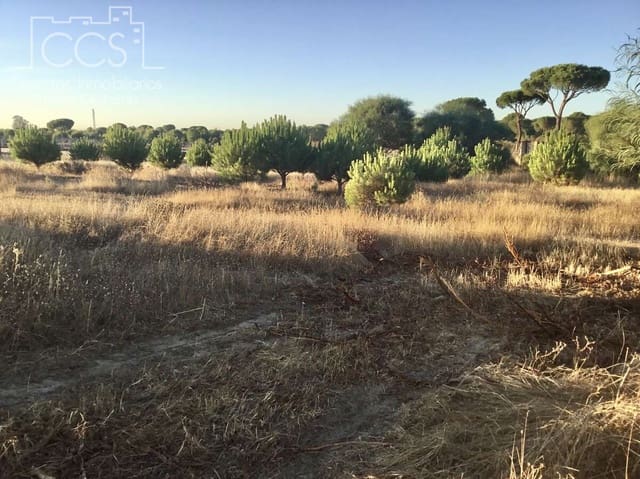 Area Edificabile in vendita in Almonte - 73.000 € (Rif: 9263932)