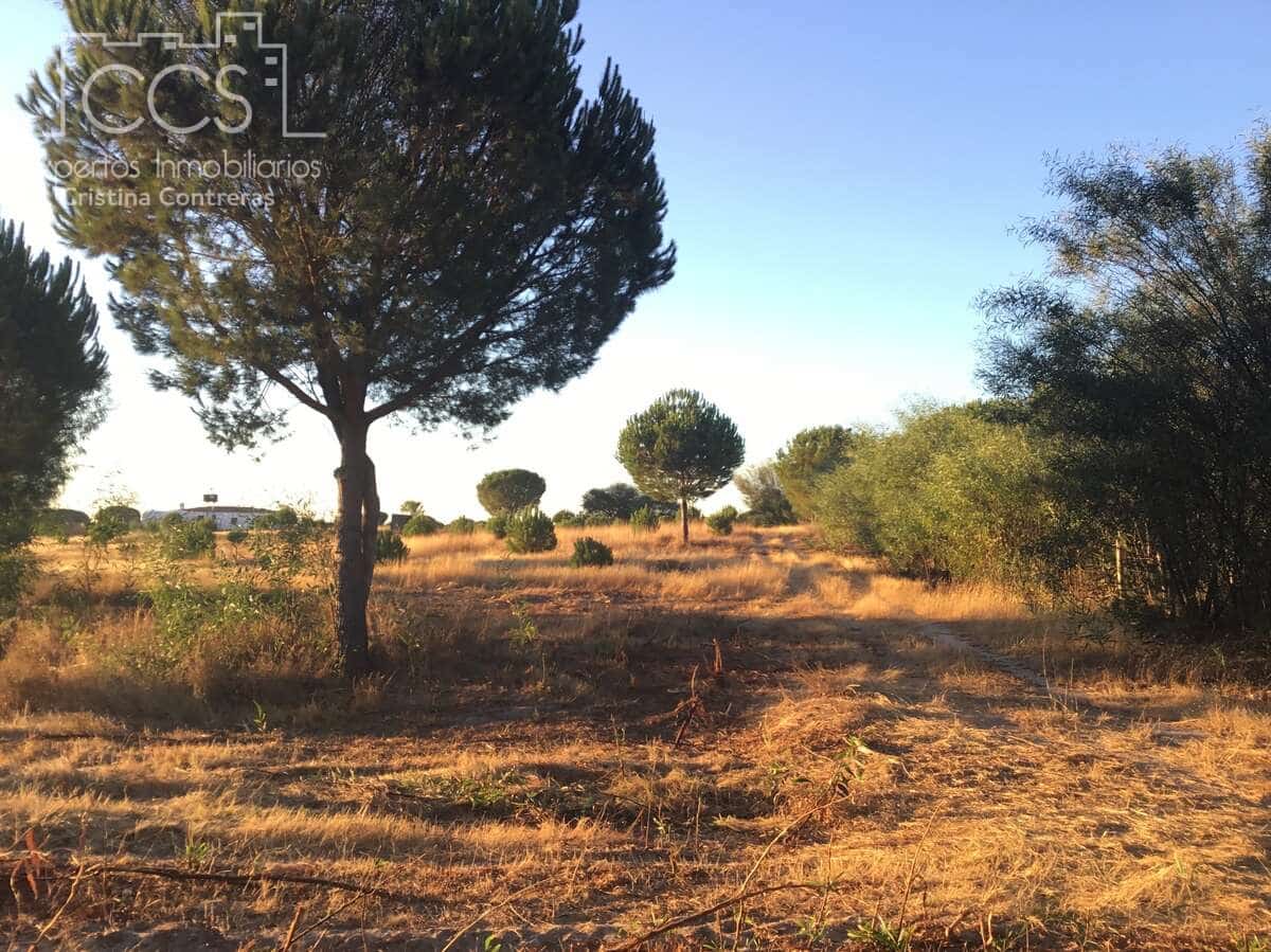 Bouwgrond te koop in Almonte - € 73.000 (Ref: 9263932)