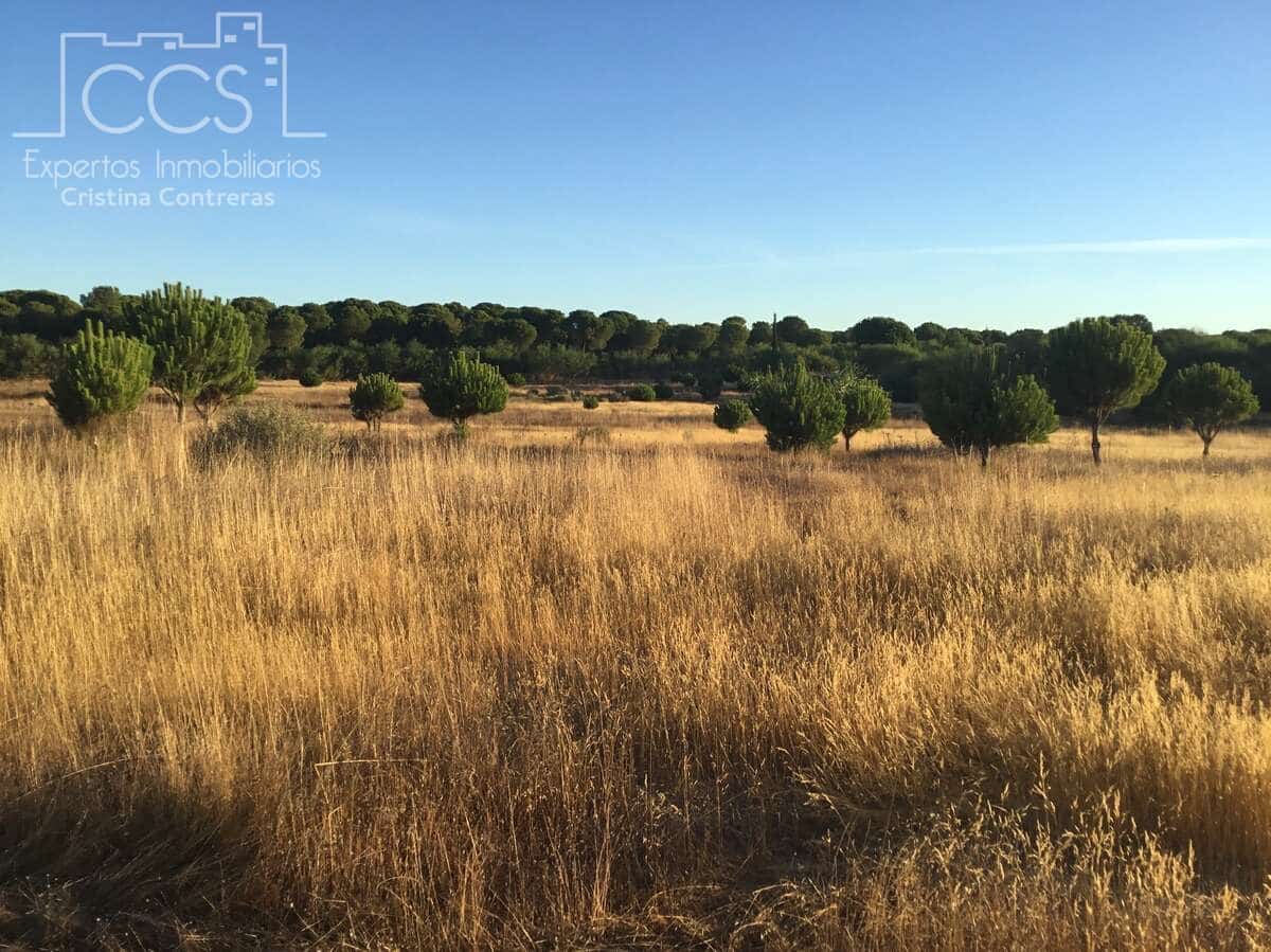 Bouwgrond te koop in Almonte - € 73.000 (Ref: 9263932)