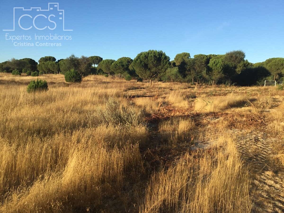 Bouwgrond te koop in Almonte - € 73.000 (Ref: 9263932)