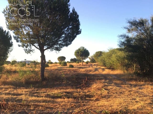 Area Edificabile in vendita in Almonte - 73.000 € (Rif: 9263932)