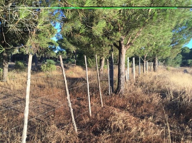 Area Edificabile in vendita in Almonte - 73.000 € (Rif: 9263932)
