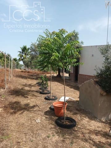 2 bedroom Finca/Country House for sale in Almonte with pool - € 79,000 (Ref: 9263934)