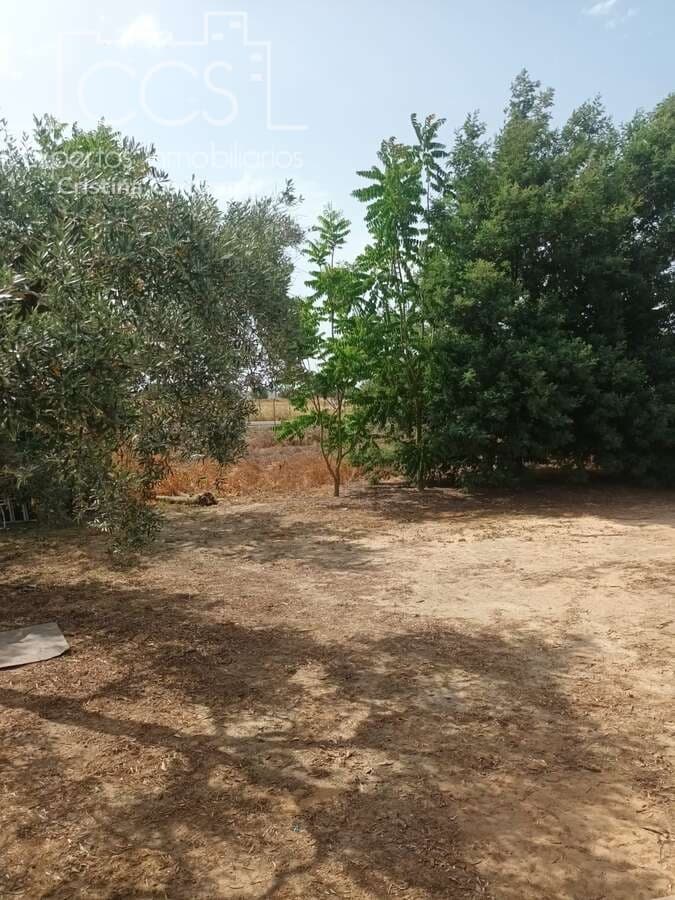 2 sypialnia Finka/Dom wiejski na sprzedaż w Almonte z basenem - 79 000 € (Ref: 9263934)