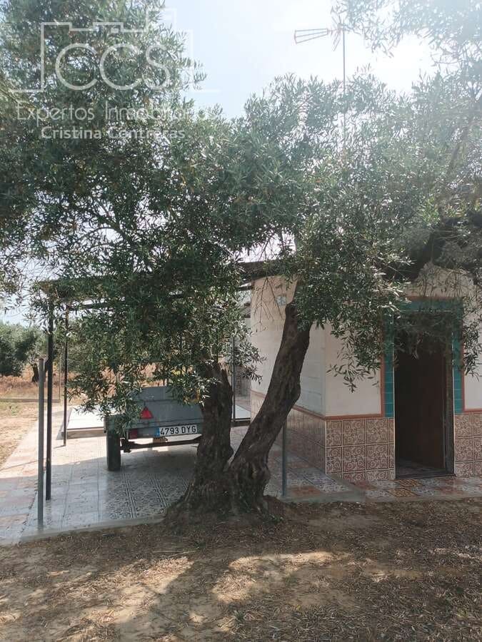 2 sypialnia Finka/Dom wiejski na sprzedaż w Almonte z basenem - 79 000 € (Ref: 9263934)