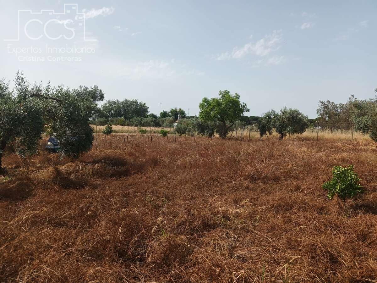 2 sypialnia Finka/Dom wiejski na sprzedaż w Almonte z basenem - 79 000 € (Ref: 9263934)