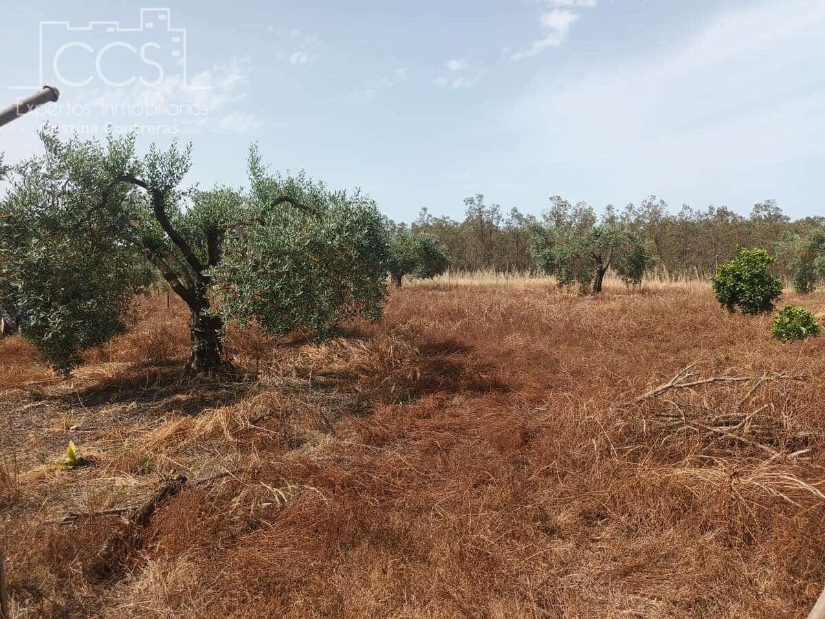 2 sypialnia Finka/Dom wiejski na sprzedaż w Almonte z basenem - 79 000 € (Ref: 9263934)