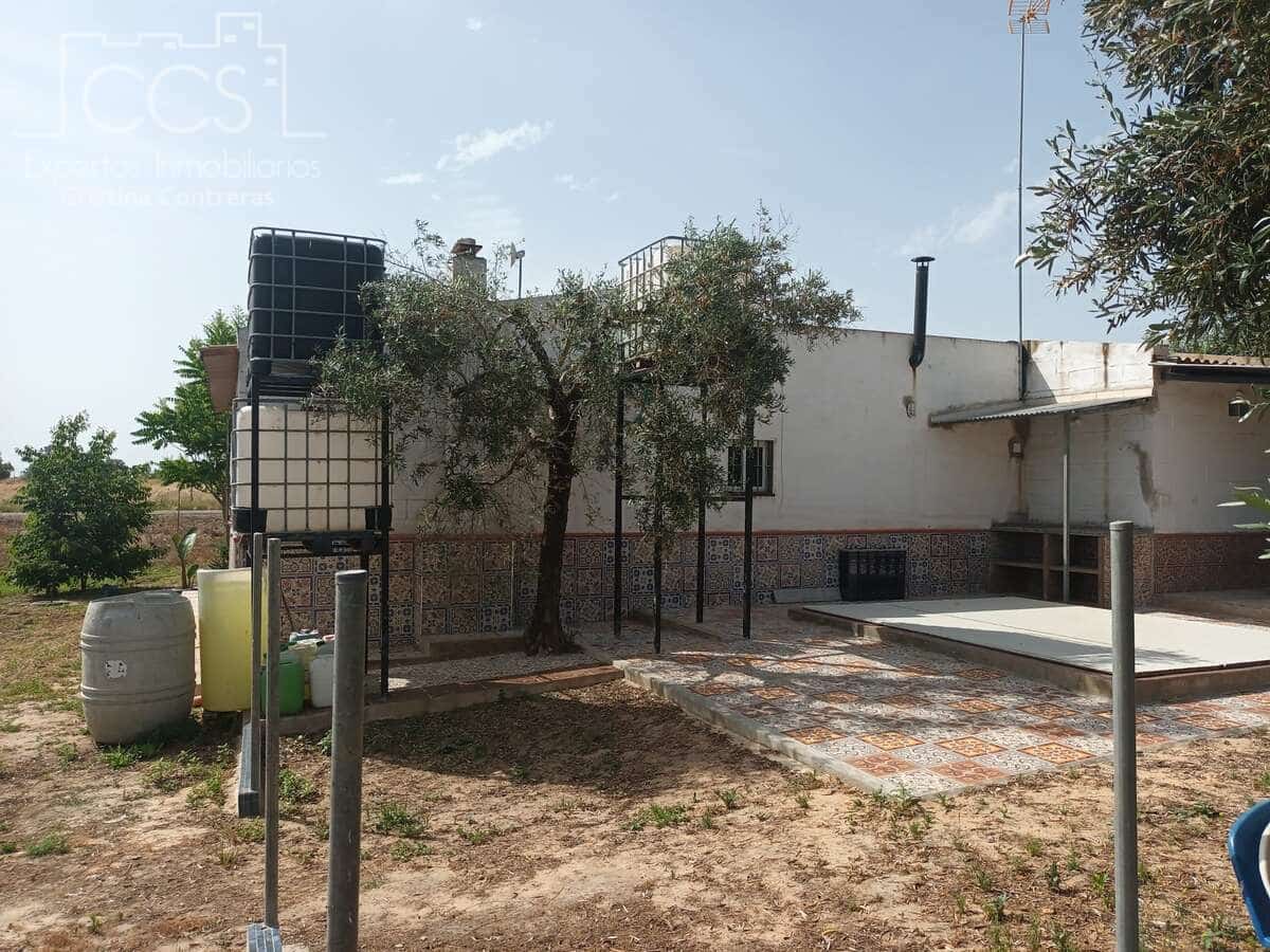 2 sypialnia Finka/Dom wiejski na sprzedaż w Almonte z basenem - 79 000 € (Ref: 9263934)