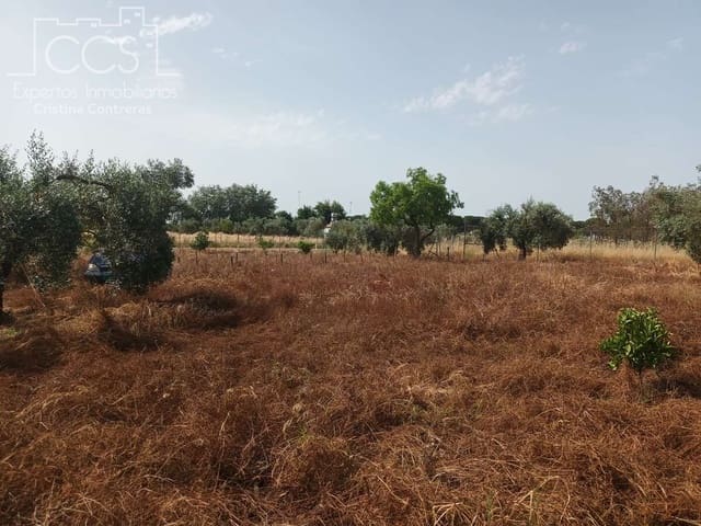 2 bedroom Finca/Country House for sale in Almonte with pool - € 79,000 (Ref: 9263934)