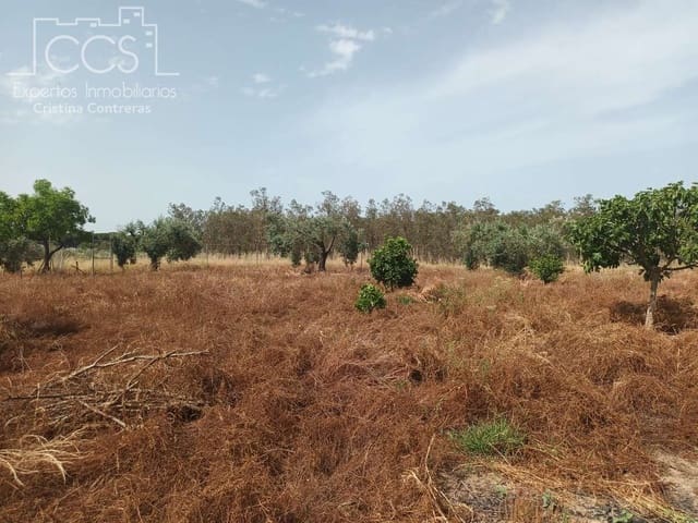 2 bedroom Finca/Country House for sale in Almonte with pool - € 79,000 (Ref: 9263934)