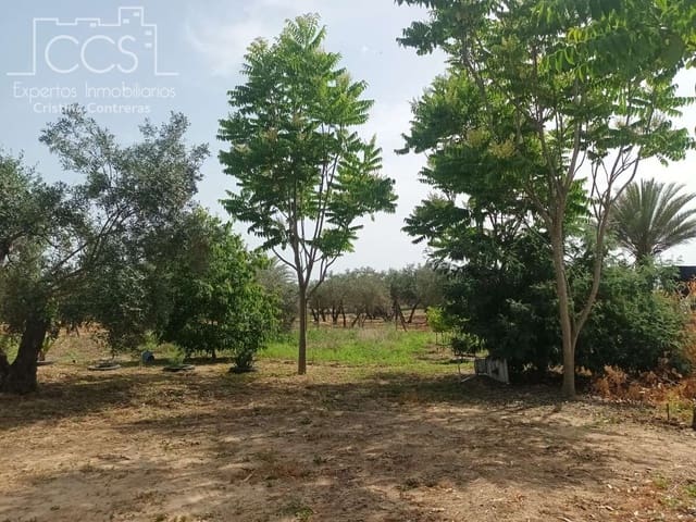 2 bedroom Finca/Country House for sale in Almonte with pool - € 79,000 (Ref: 9263934)