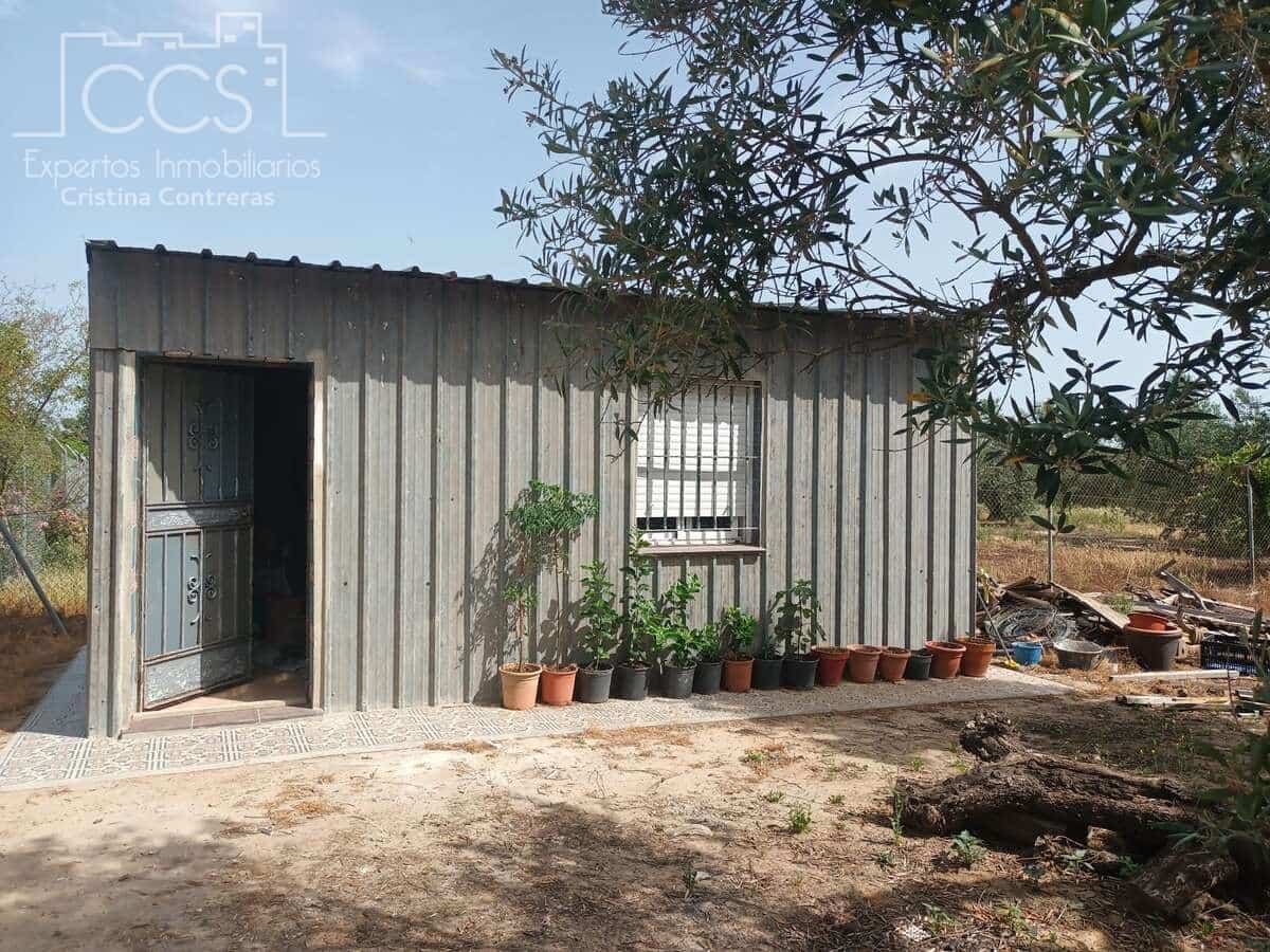 2 sypialnia Finka/Dom wiejski na sprzedaż w Almonte z basenem - 79 000 € (Ref: 9263934)