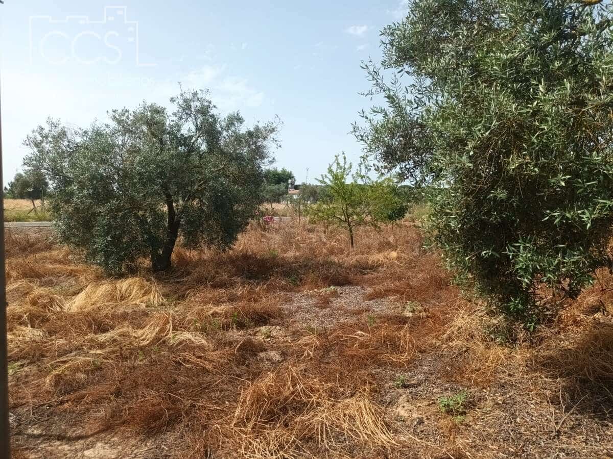 2 sypialnia Finka/Dom wiejski na sprzedaż w Almonte z basenem - 79 000 € (Ref: 9263934)