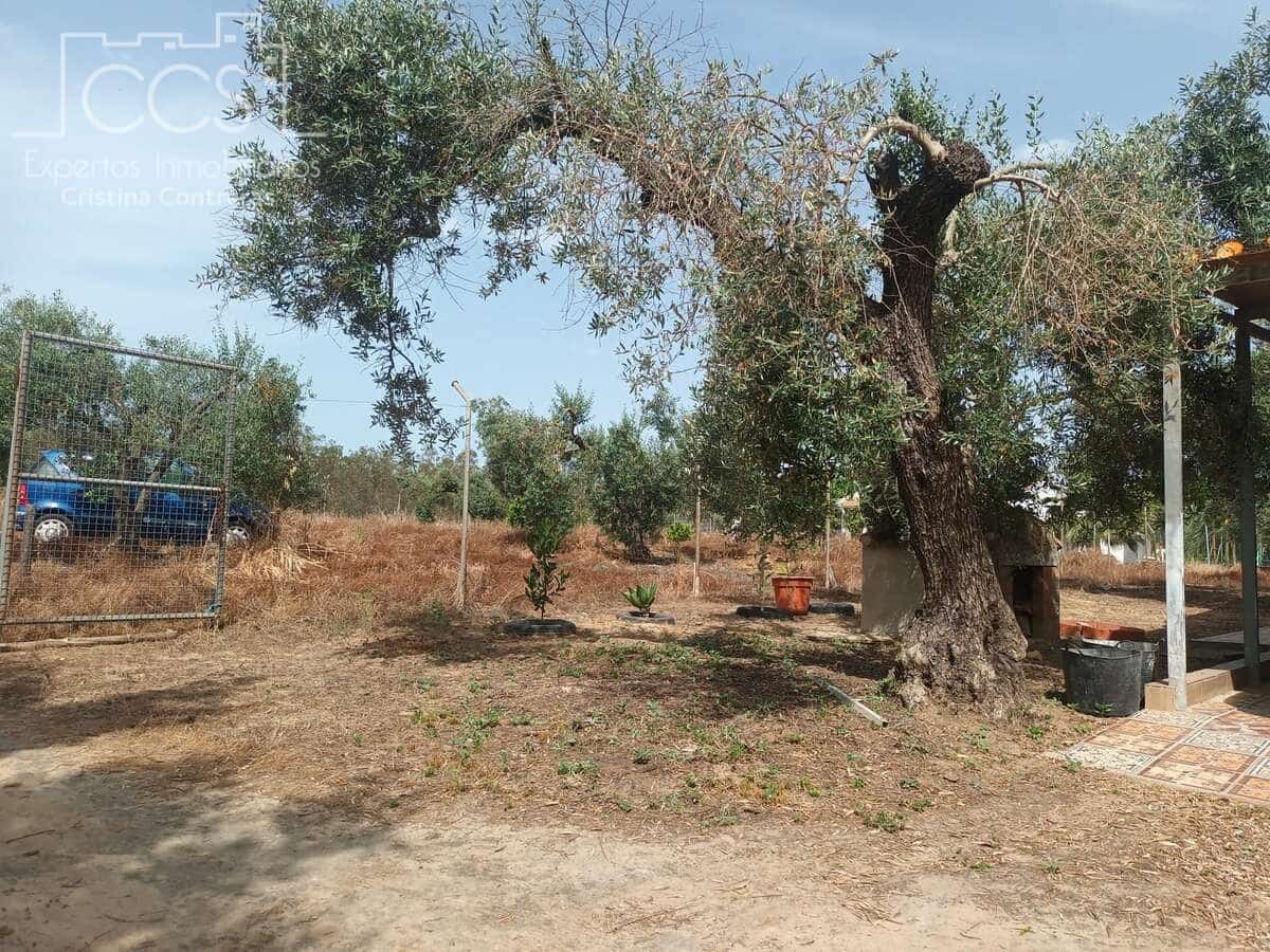 2 sypialnia Finka/Dom wiejski na sprzedaż w Almonte z basenem - 79 000 € (Ref: 9263934)