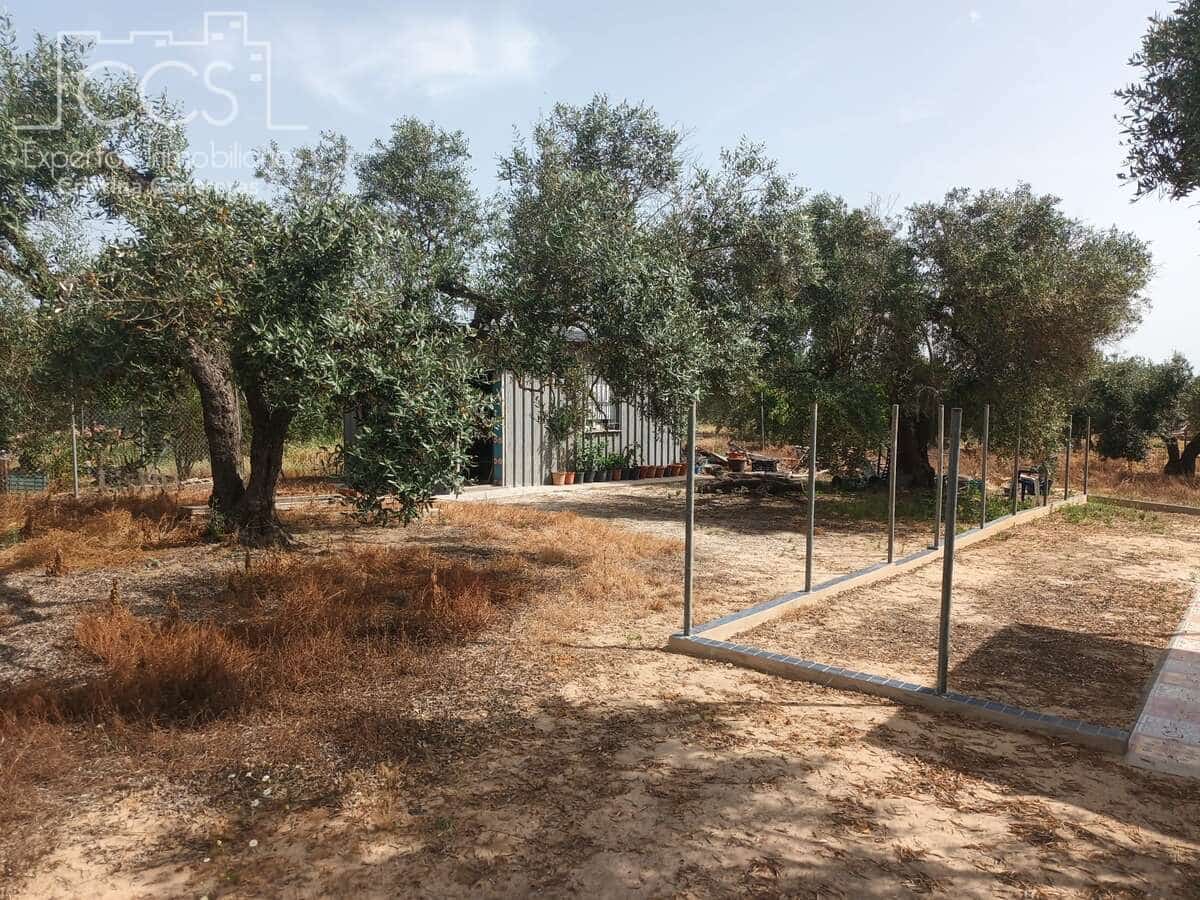 2 sypialnia Finka/Dom wiejski na sprzedaż w Almonte z basenem - 79 000 € (Ref: 9263934)