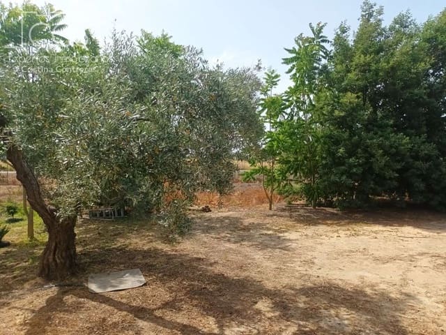 2 bedroom Finca/Country House for sale in Almonte with pool - € 79,000 (Ref: 9263934)